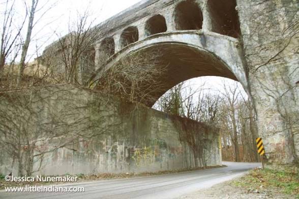 Group avatar for Twin Bridges Restoration Project