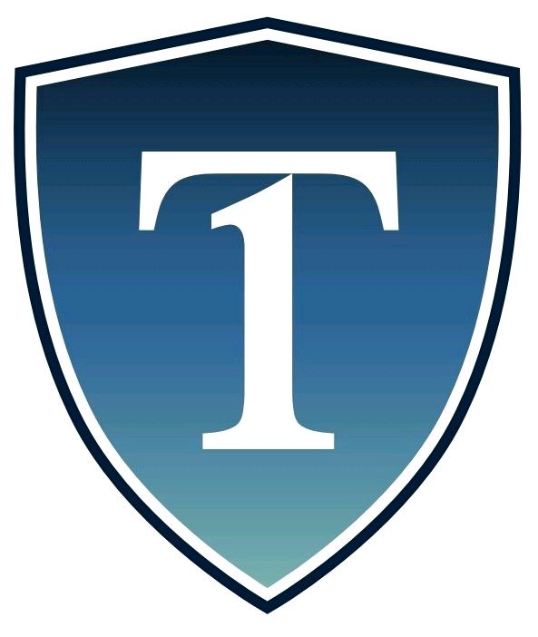 Group avatar for The Theodore Group