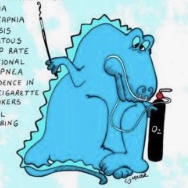 Group avatar for LIU PA Program ‘25