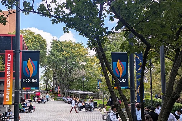 Group avatar for Pcom Philly DO Class of 2030