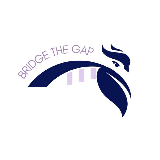 Group avatar for Bridge the Gap