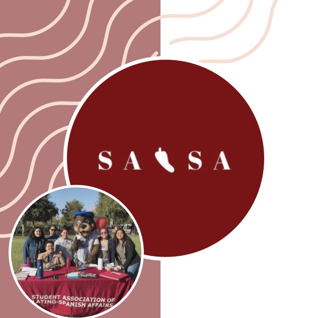 Group avatar for S.A.L.S.A members 2024-2025
