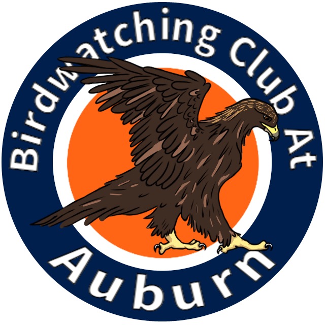 Group avatar for The Birdwatching Club at Auburn