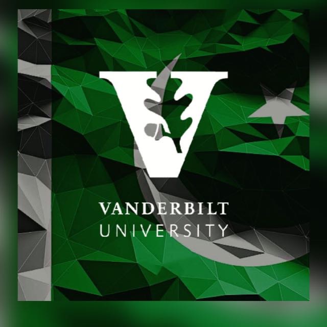 Group avatar for Pakistanis at Vandy