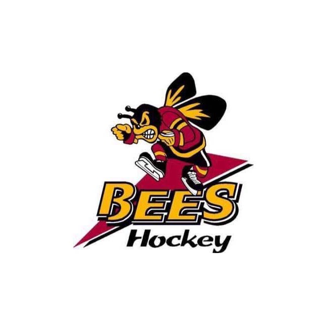 Group avatar for BBHHS Bees Hockey Alumni