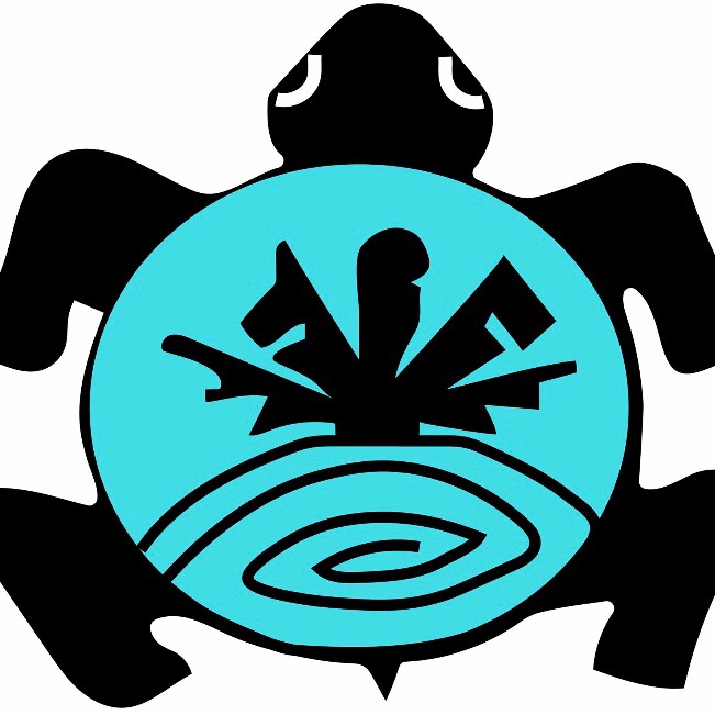 Group avatar for NAISO