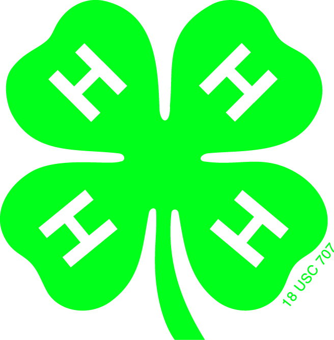 Group avatar for 4-H Youth Council