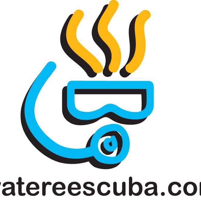 Group avatar for WDC Divers