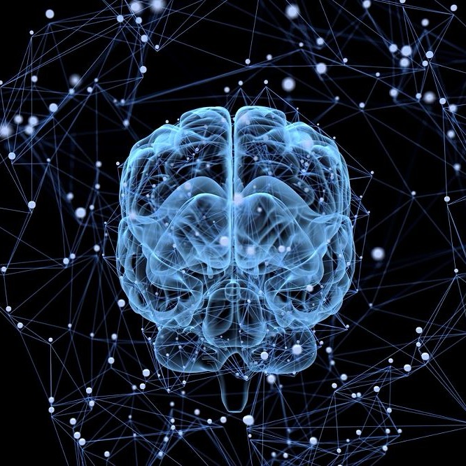 Group avatar for Law and A.I. Society