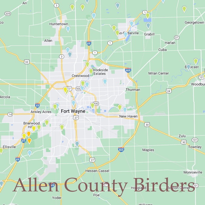 Group avatar for Allen County Birders