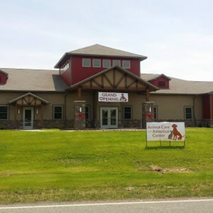 Group avatar for The Animal Service Club at VT