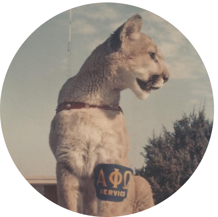 Group avatar for Epsilon Pi Alumni