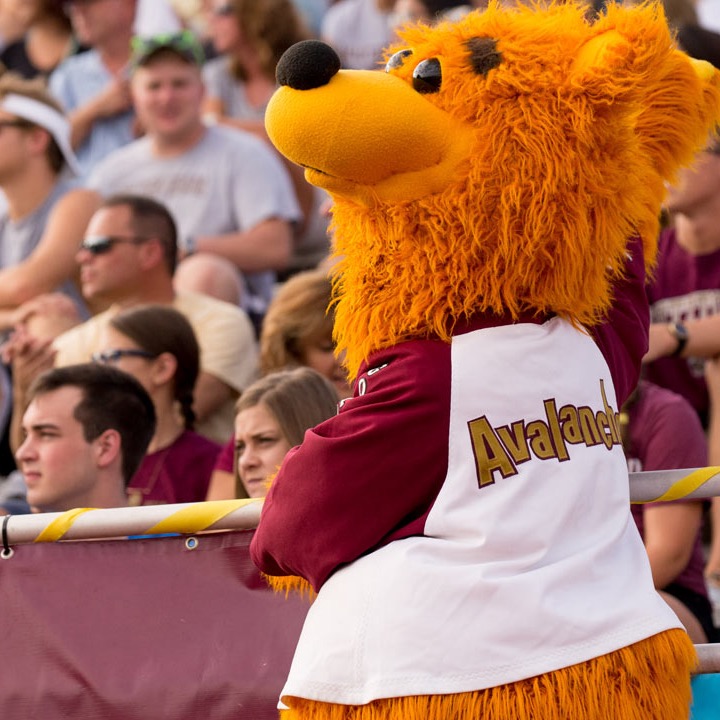 Group avatar for KU New Transfers