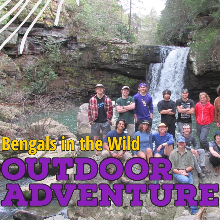 Group avatar for Bengals in the wild