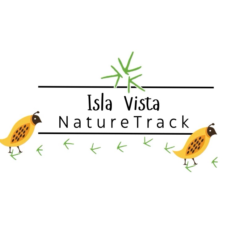 Group avatar for IV NatureTrack