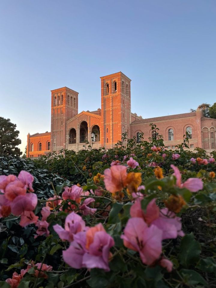 Group avatar for UCLA Application Friends