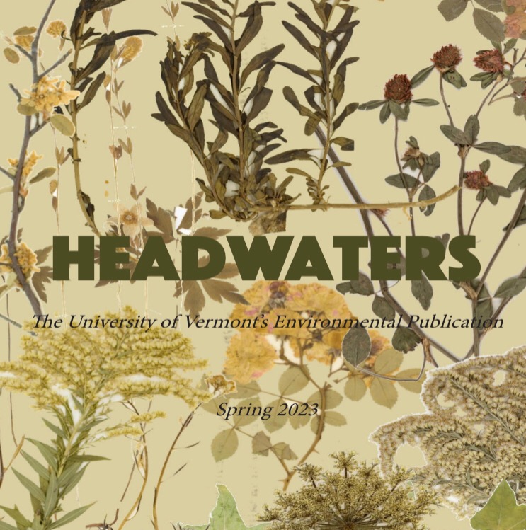 Group avatar for Headwaters Mag Design Team Fall ‘24