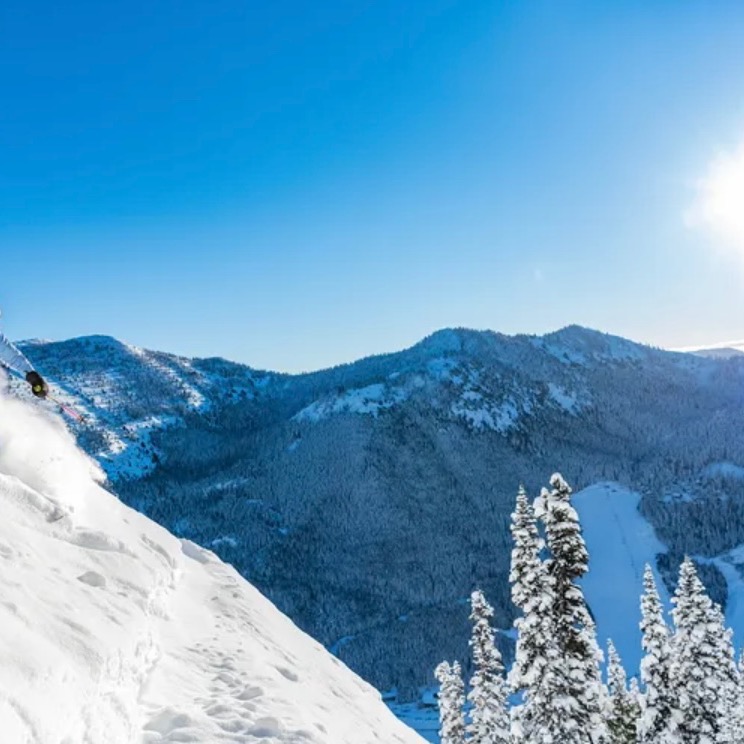 Group avatar for CAPS &amp; ASH