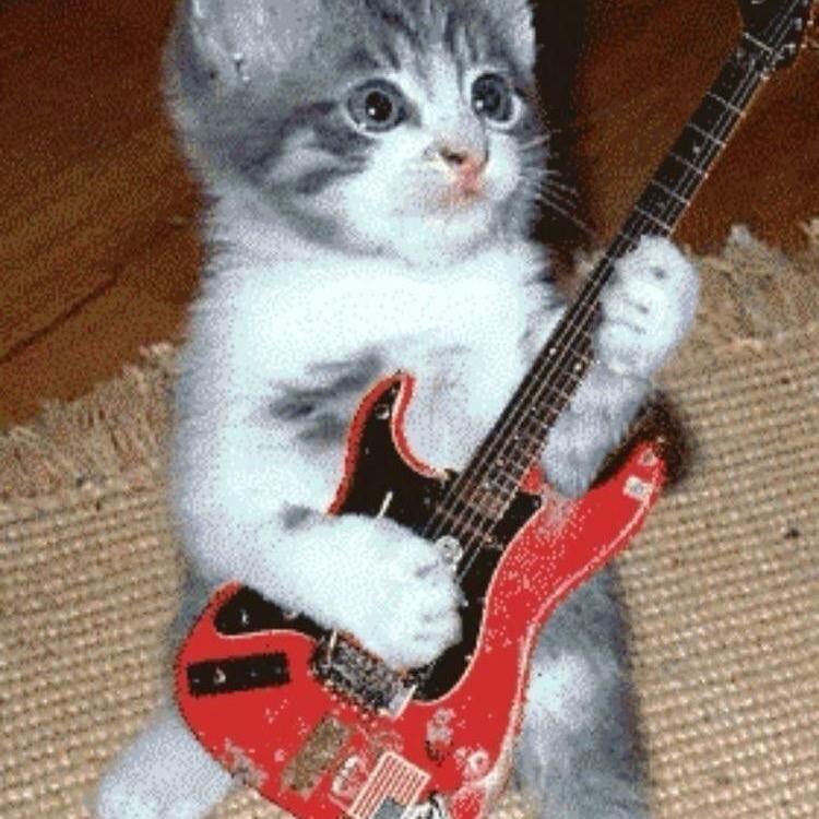 Group avatar for Guitar Club 2024-2025
