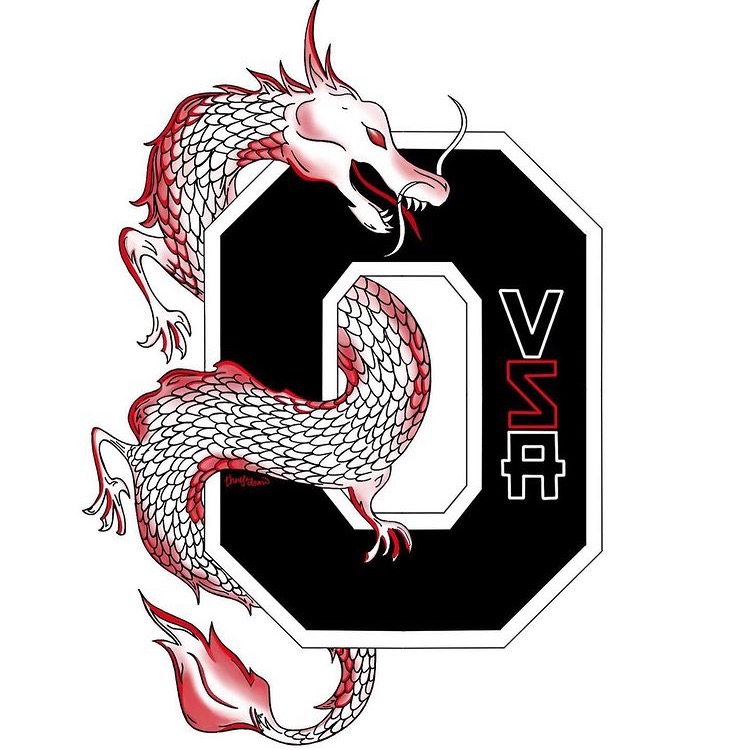 Group avatar for OSU VSA