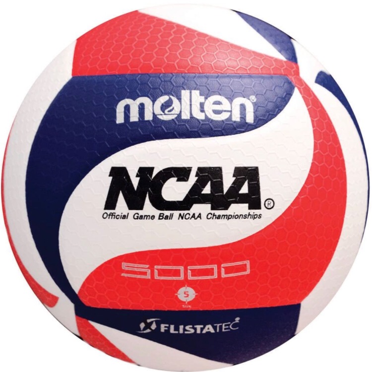 Group avatar for Volleyball Group