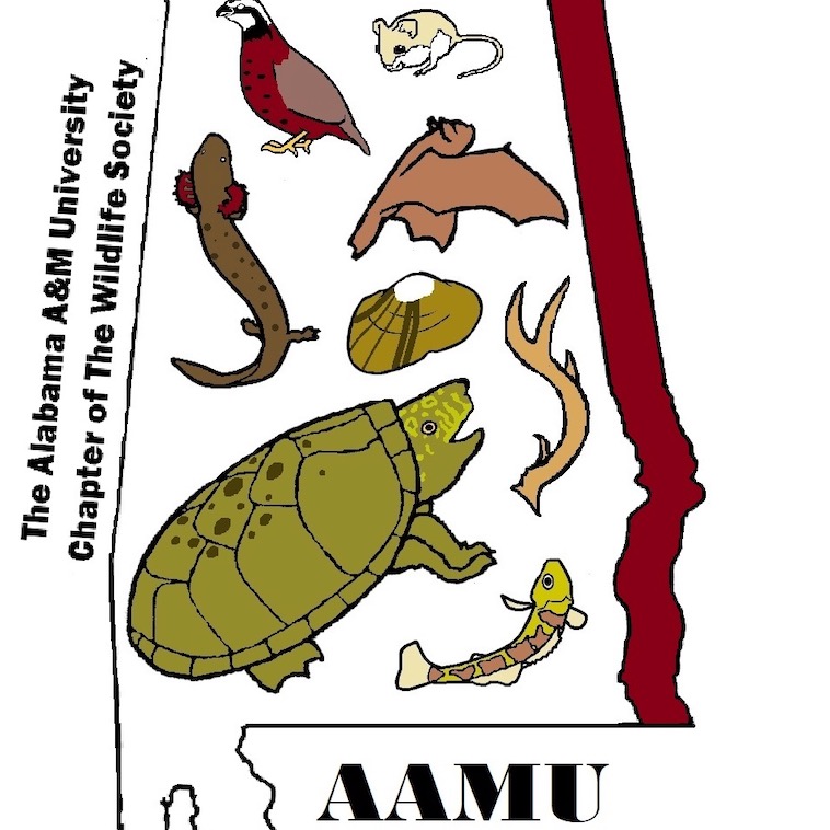 Group avatar for AAMU Wildlife Society