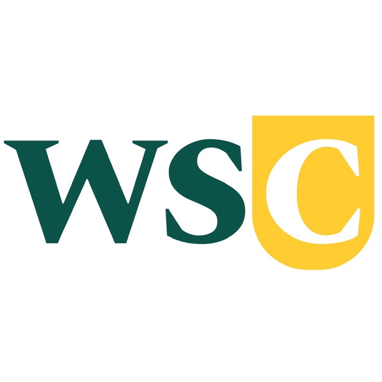 Group avatar for Wayne State Consulting (WSC)