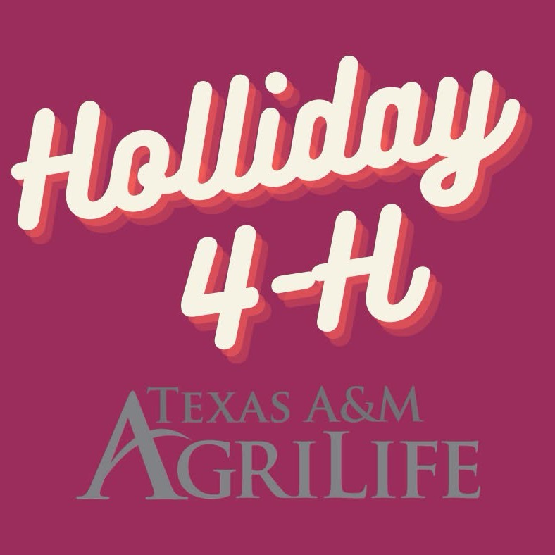 Group avatar for Holliday 4-H Club