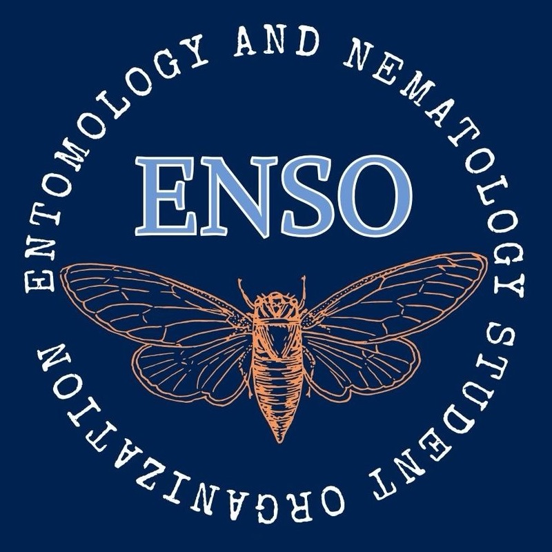 Group avatar for ENSO