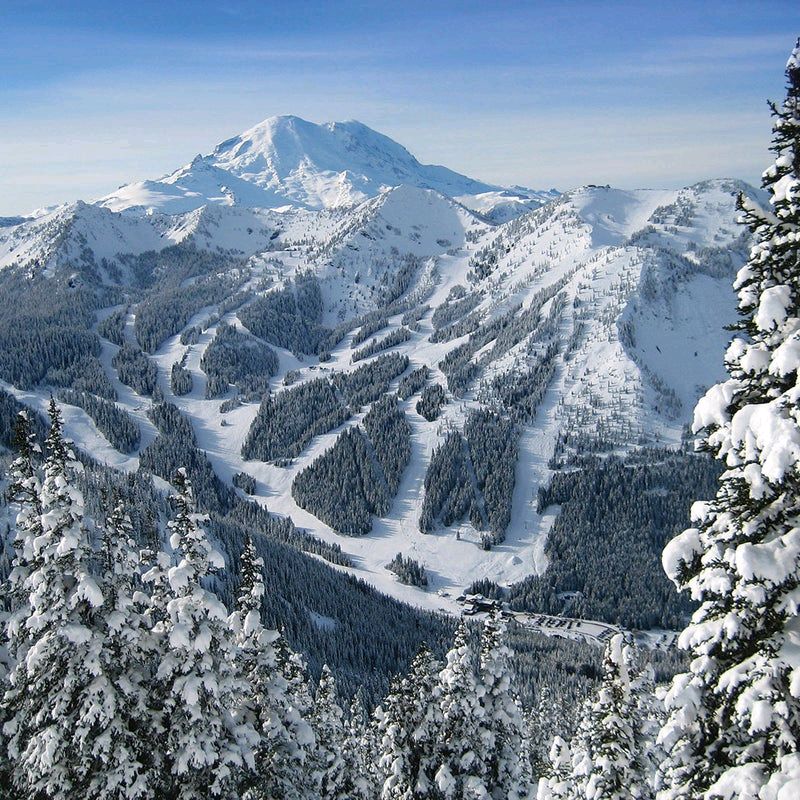 Group avatar for Seattle IRL Snowsports