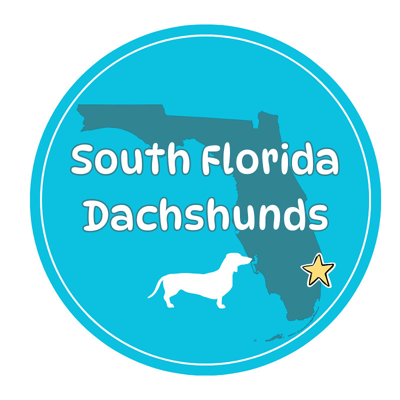 Group avatar for Soflo Dachshunds