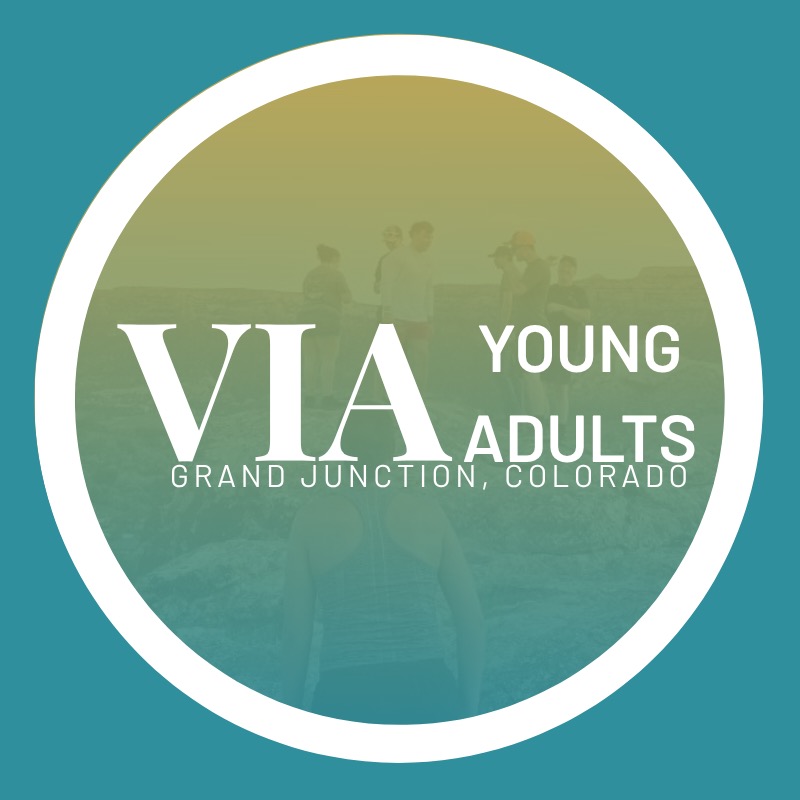 Group avatar for VIA