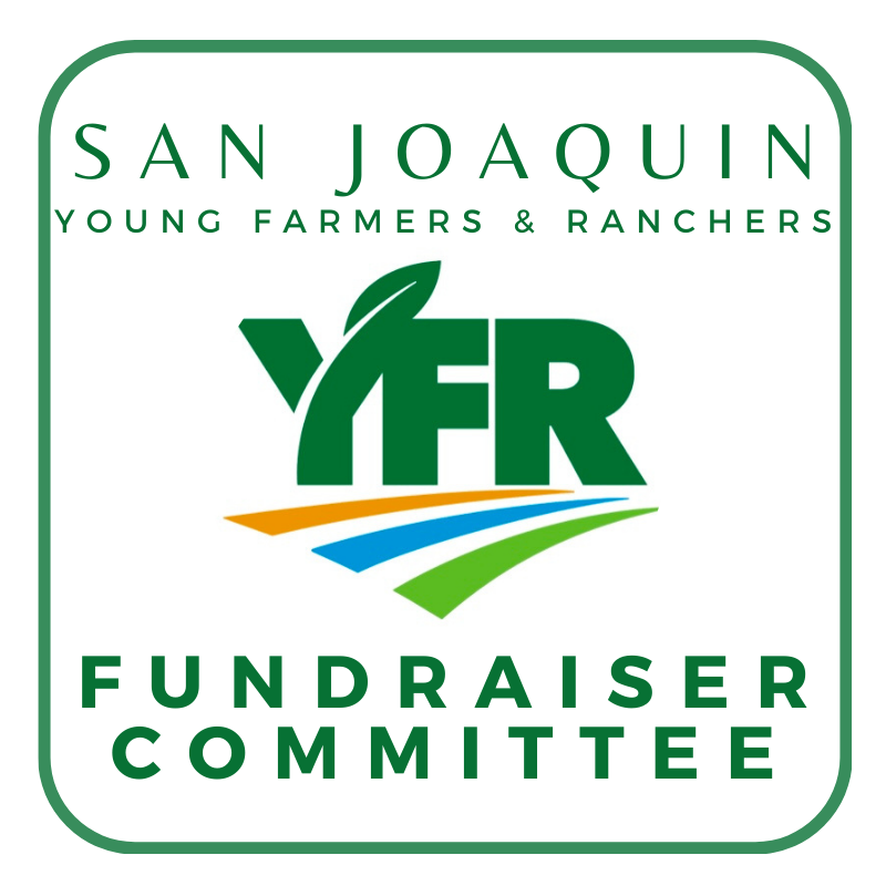 Group avatar for SJ YF&amp;R Fundraising Committee