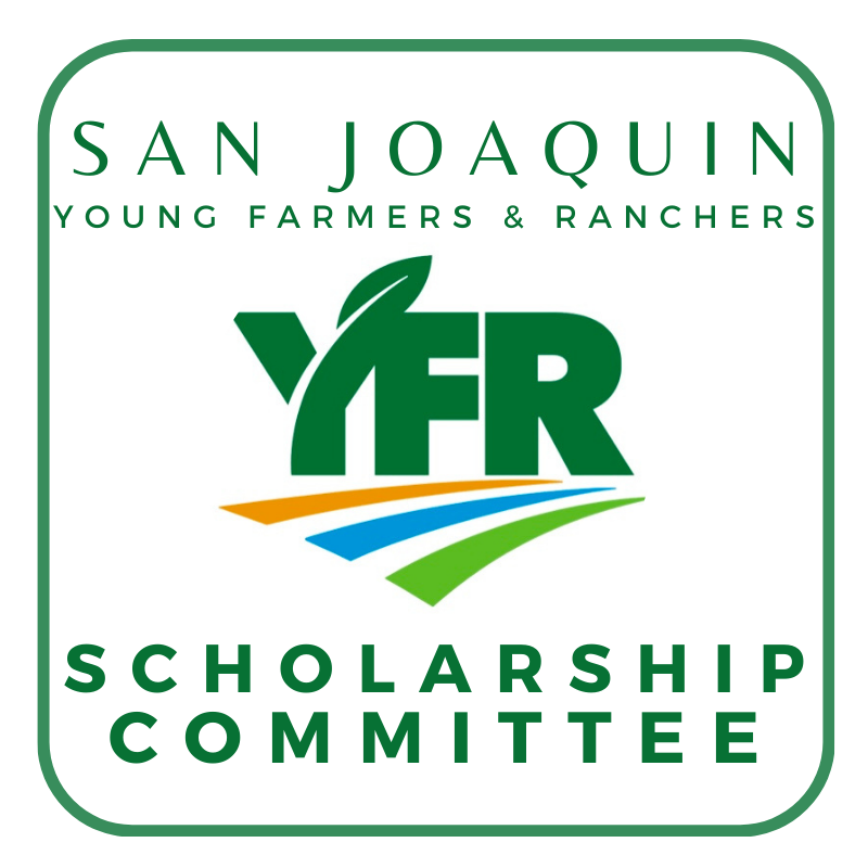 Group avatar for SJ YF&amp;R Scholarship Committee