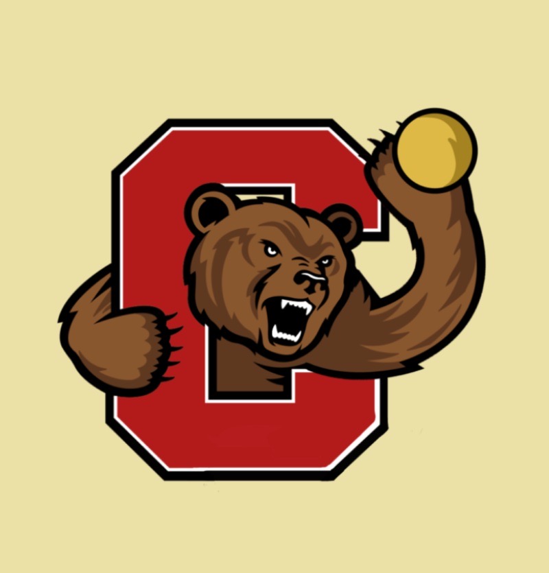 Group avatar for Cornell Roundnet