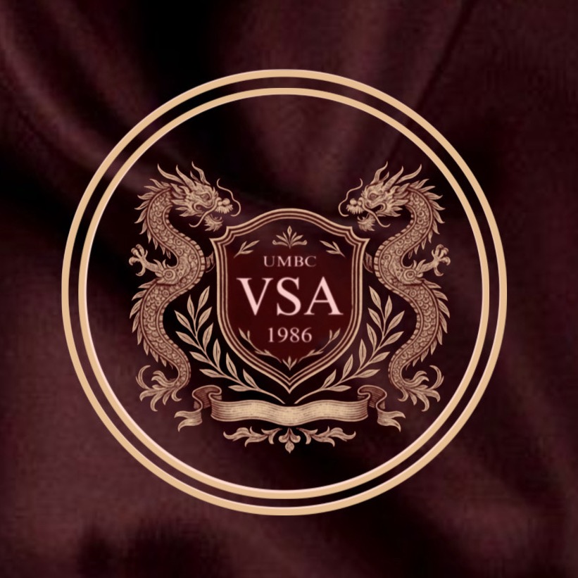 Group avatar for UMBC VSA