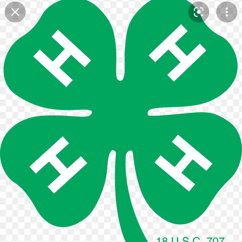 Group avatar for Swede Creek 25/26