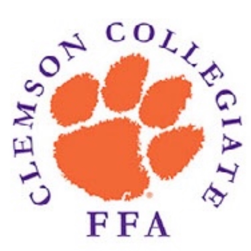 Group avatar for CCFFA