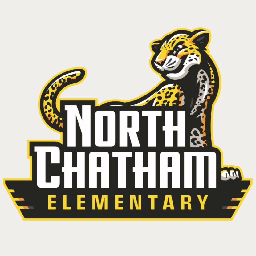 Group avatar for North Chatham Elementary PTA