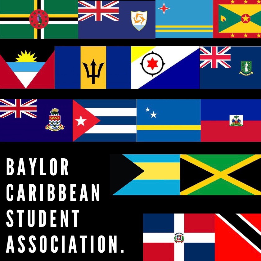 Group avatar for BCSA🏝☀️🌊