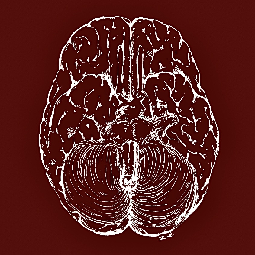 Group avatar for Neuroscience Club