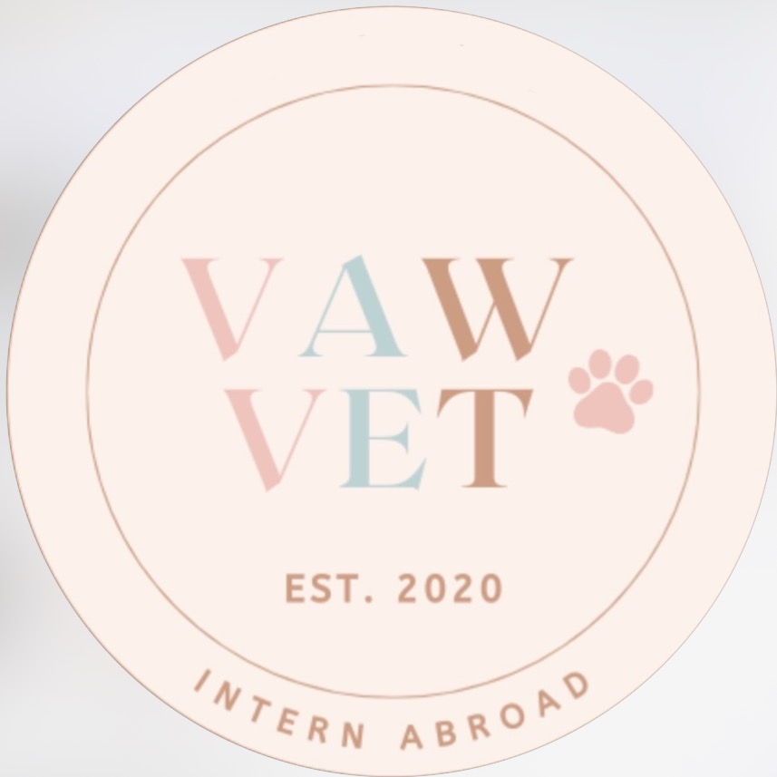 Group avatar for VAW General