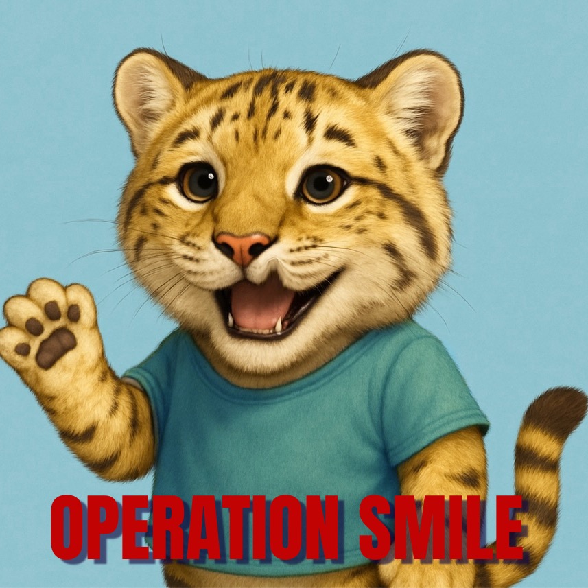 Group avatar for Operation Smile Mizzou