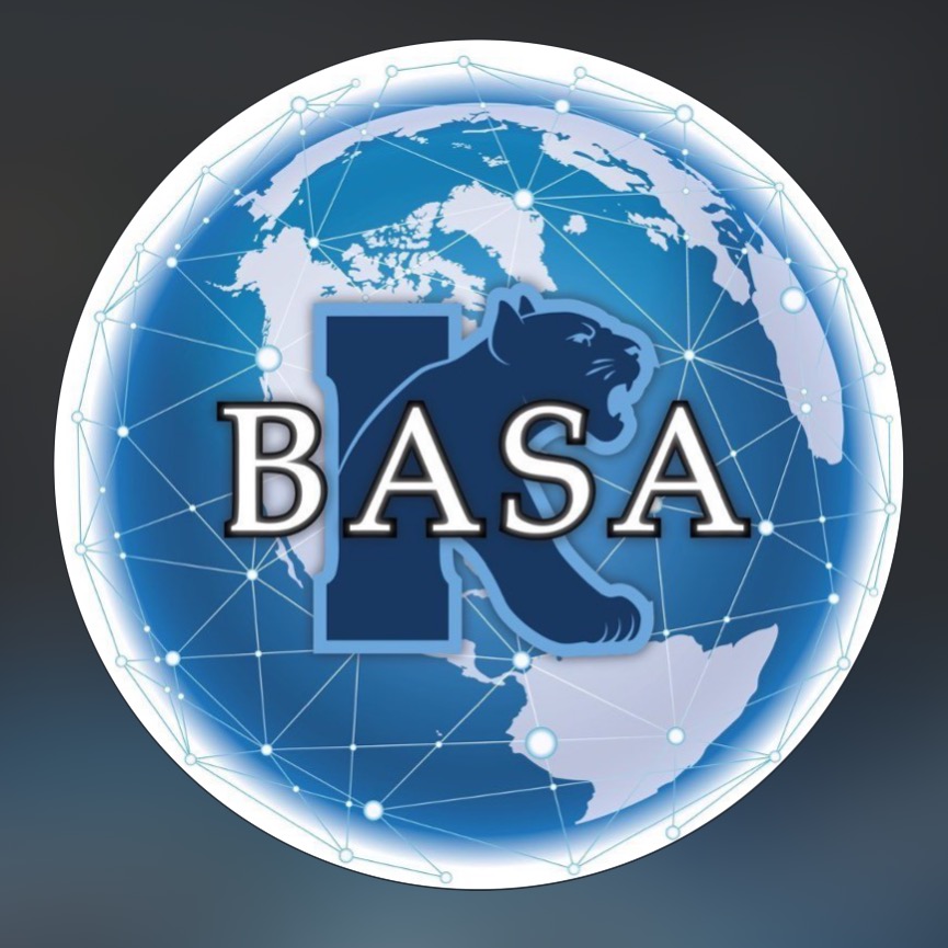 Group avatar for BASA 📊