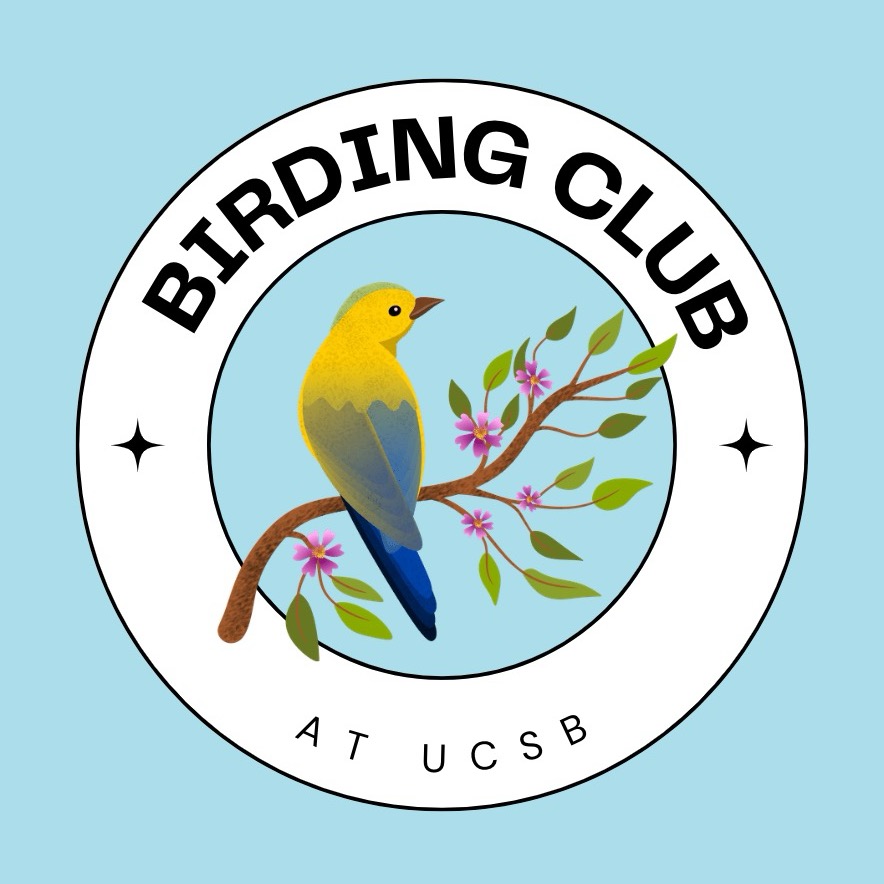 Group avatar for UCSB Birding Club