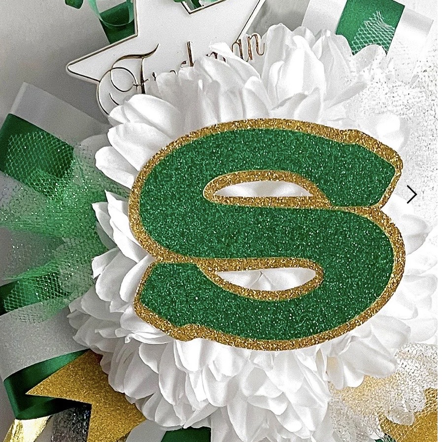 Group avatar for 2026 SHS Band Mums