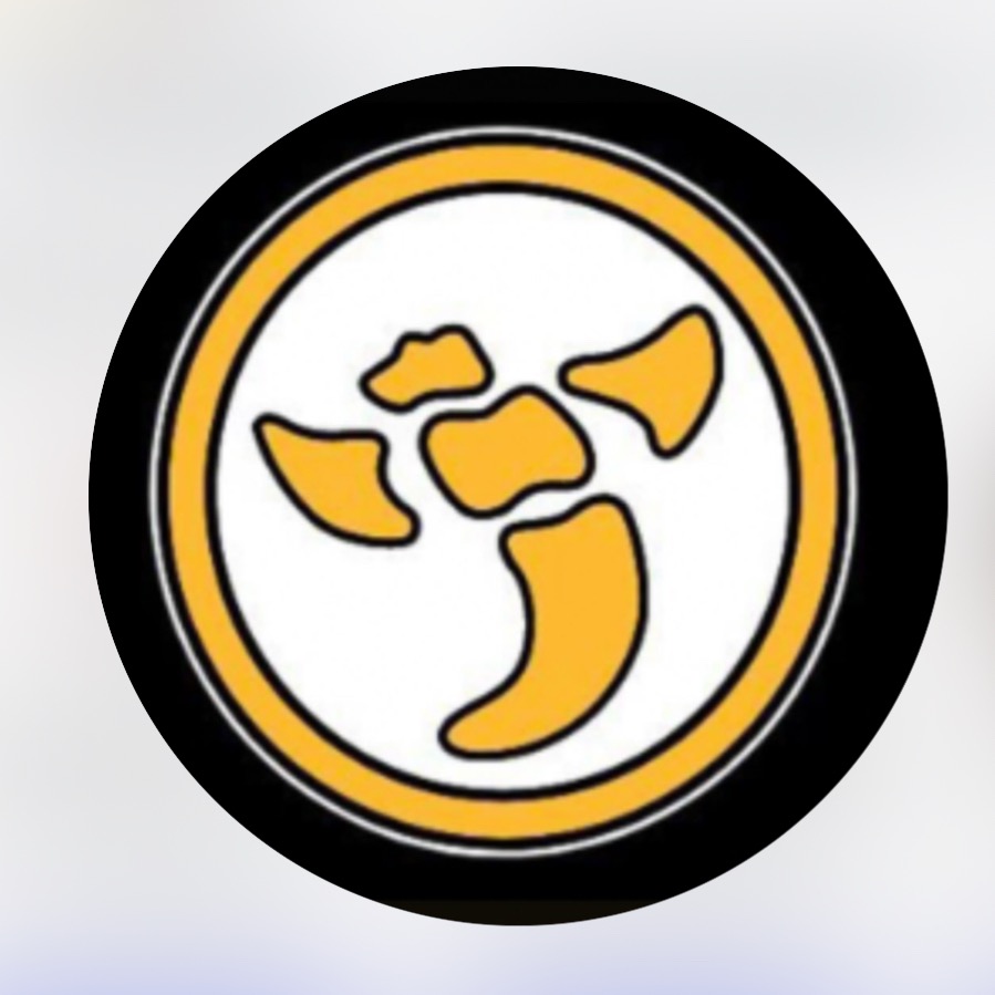 Group avatar for IHS PTSO