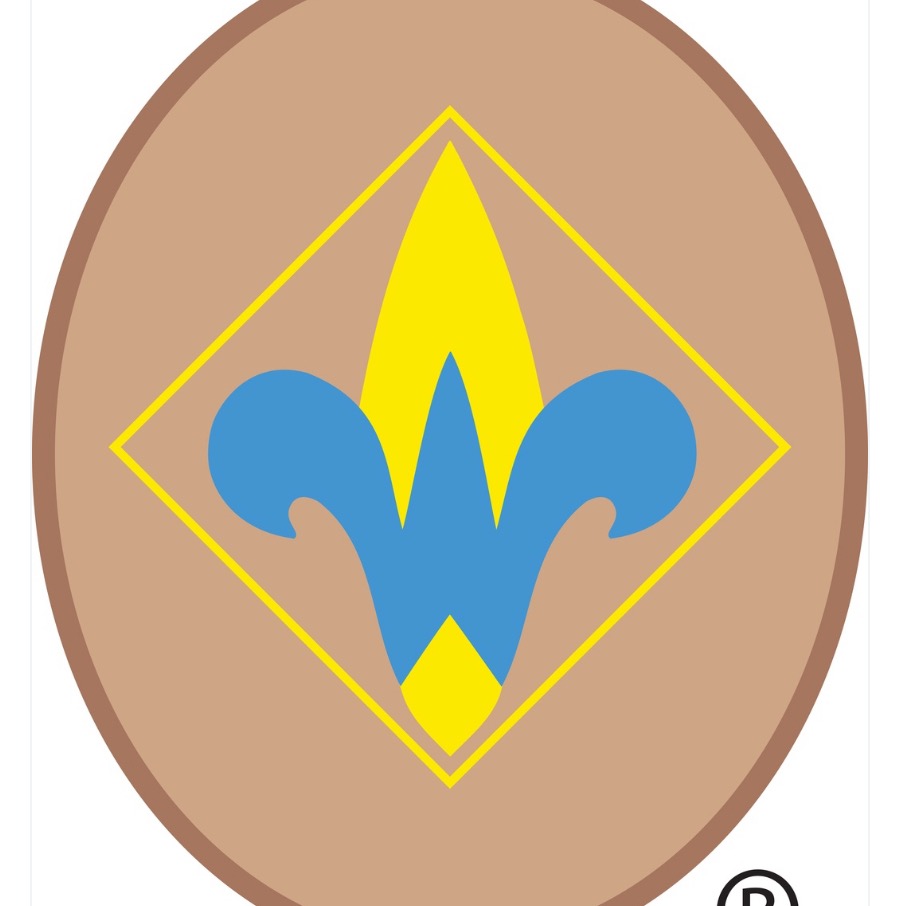 Group avatar for Webelos Den 2