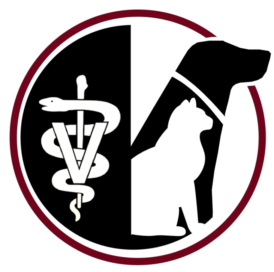 Group avatar for Pre-vet Summer Volunteering