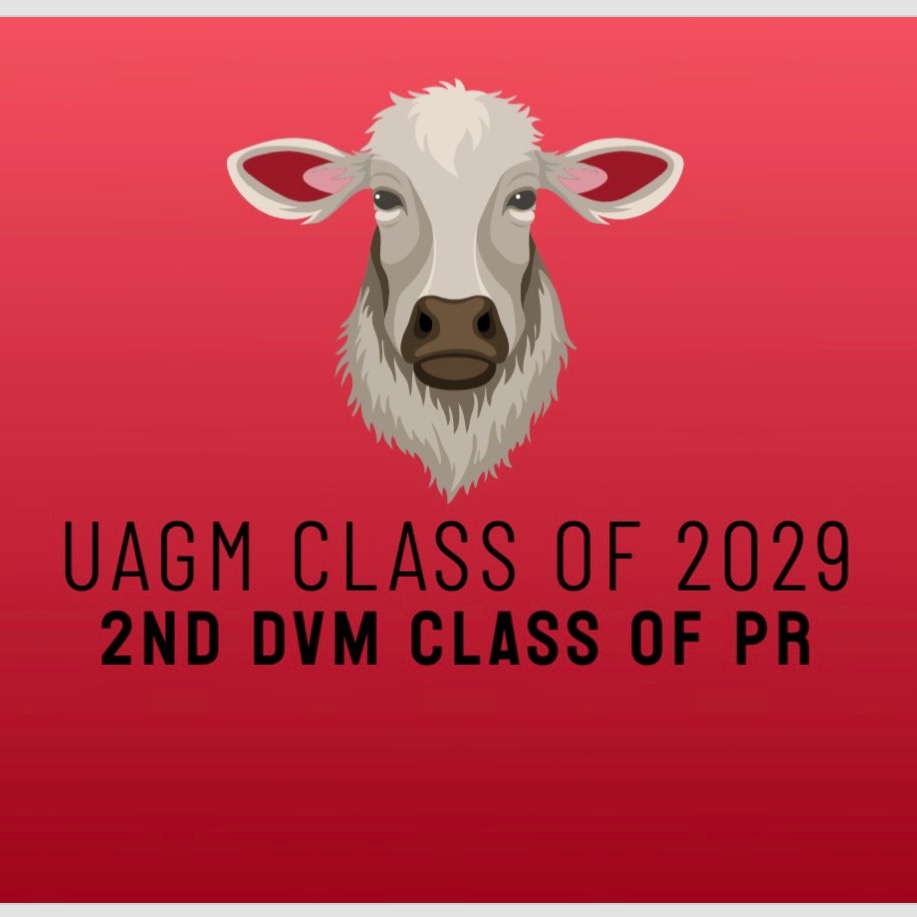 Group avatar for UAGM CLASS OF 2029